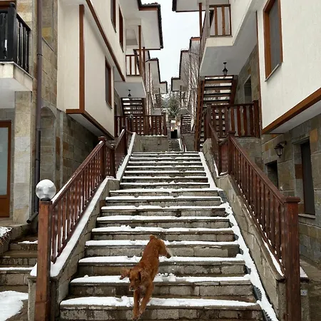 Raikov Пампорово