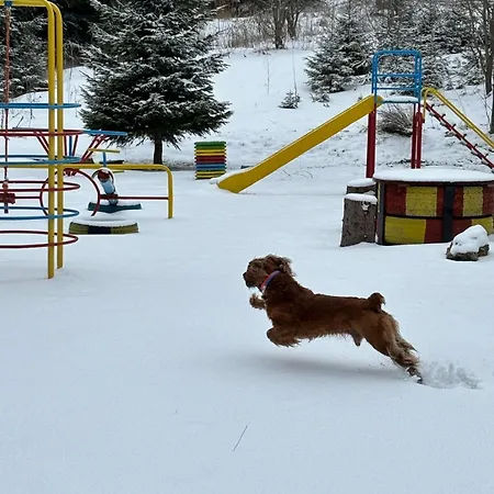 Raikov 3* Pamporovo