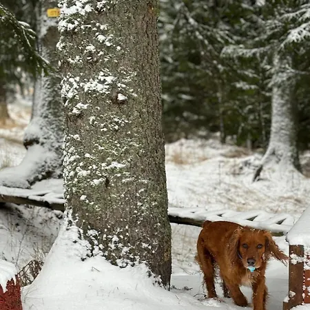 Aparthotel Raikov 3*