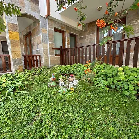 Apart Otel Raikov 3*