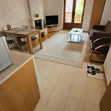 Raikov Aparthotel Pamporovo