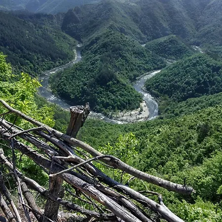 アパートホテル Raikov 3*