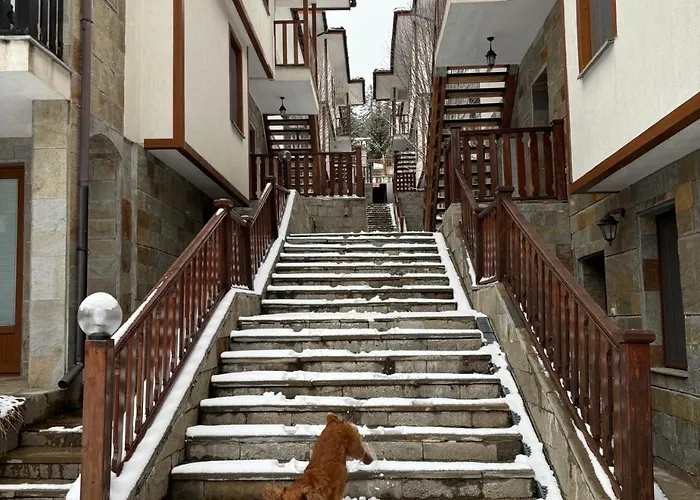 Raikov パンポロボ