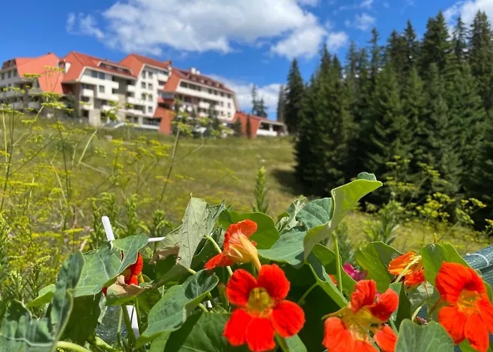 Raikov 3* パンポロボ