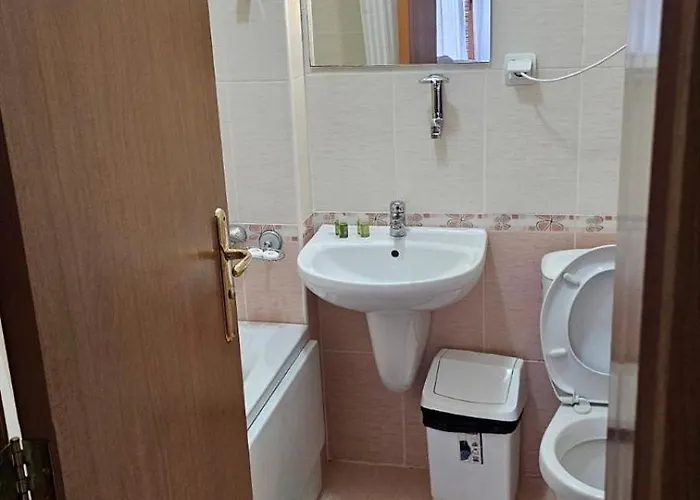 アパートホテル Raikov