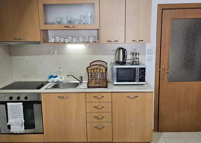 Raikov アパートホテル