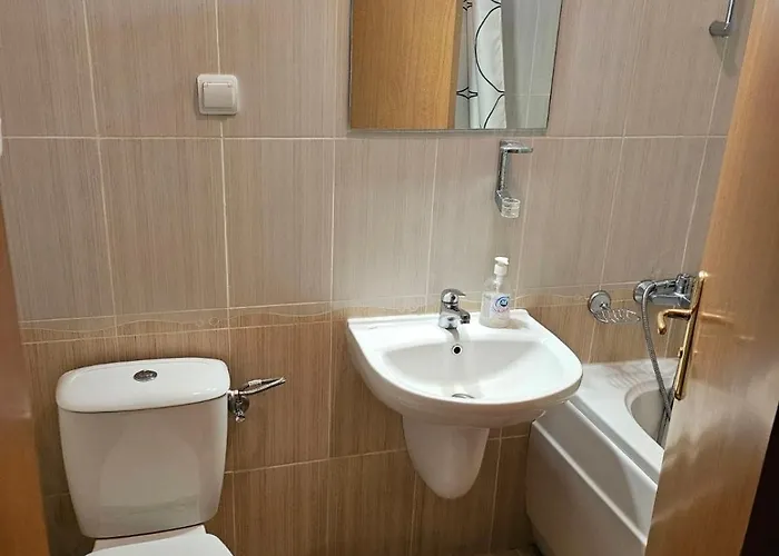 アパートホテル Raikov