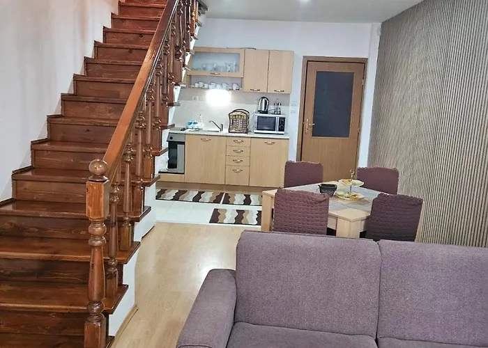 アパートホテル Raikov 3*