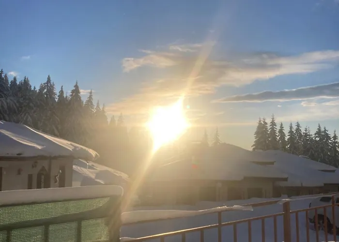 Raikov パンポロボ