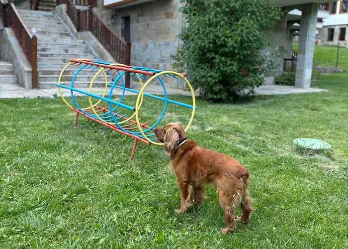 Raikov アパートホテル 3*