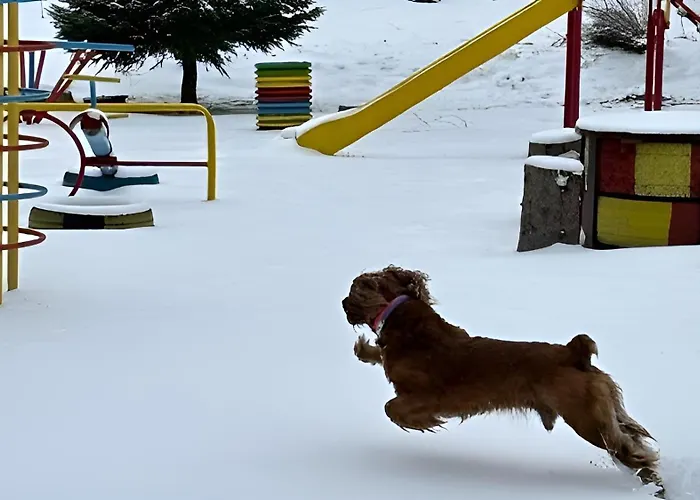 Raikov 3* パンポロボ